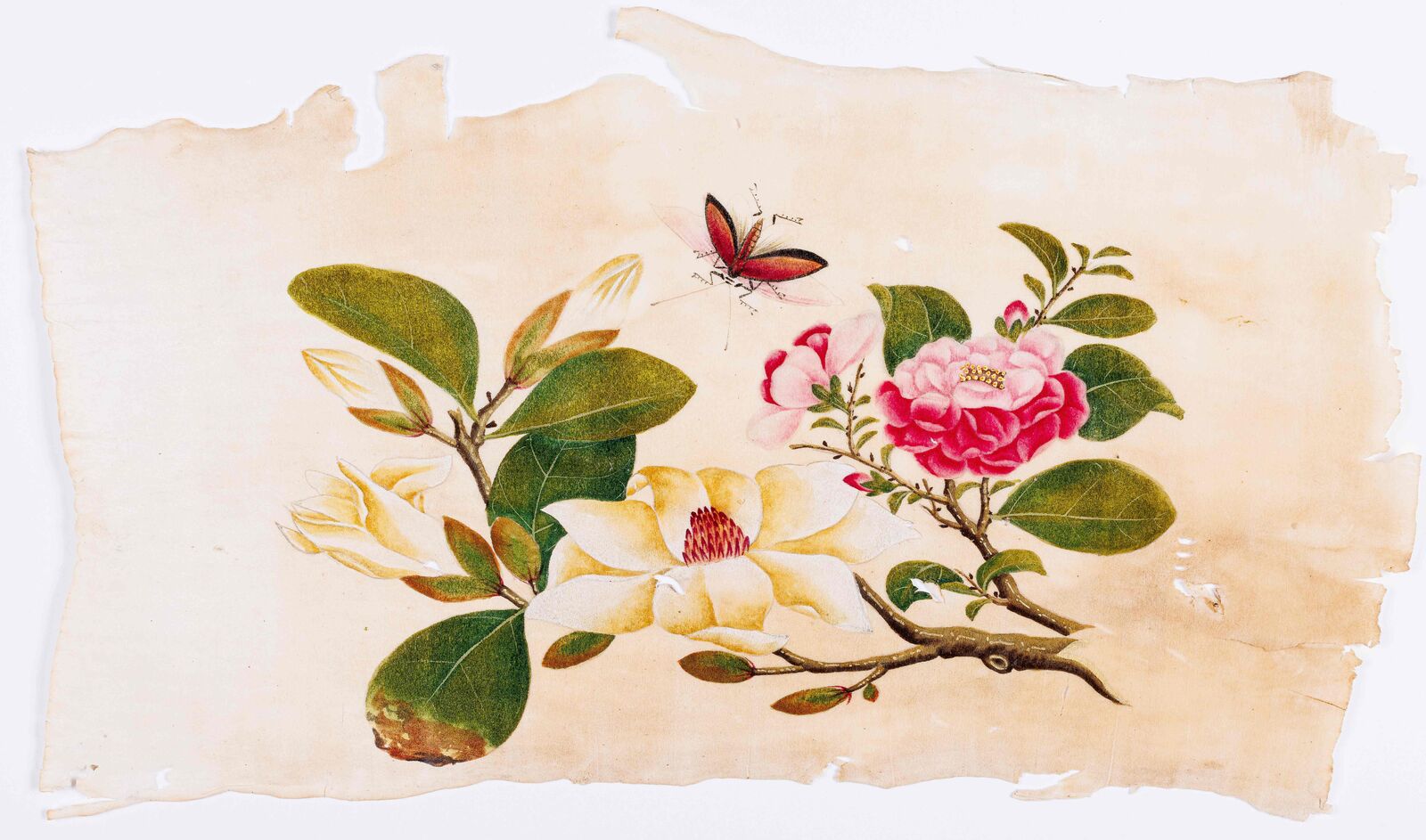 Prenten in kleur op Japans rijstpapier met bloemen, vlinders, ... 19de eeuw(?)